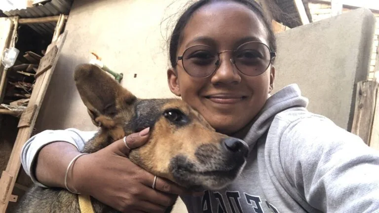 Pensionnaires du refuge de Gasy Animal Aid à Ambatofotsy